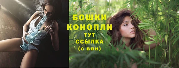 дживик Нея