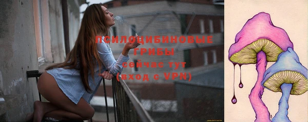 дживик Нея