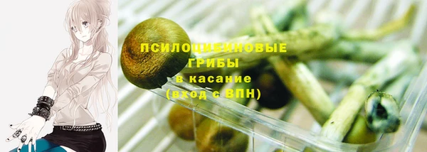 гидра Наволоки