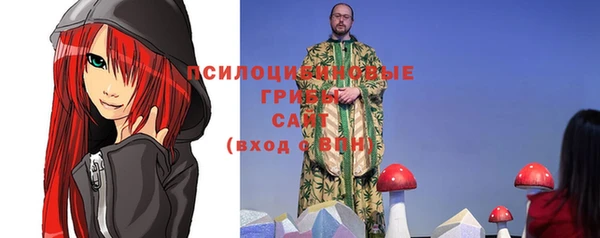 индика Навашино