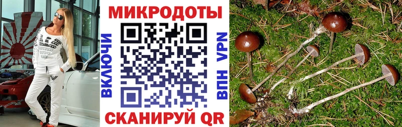 Галлюциногенные грибы GOLDEN TEACHER  купить   Южно-Сахалинск 