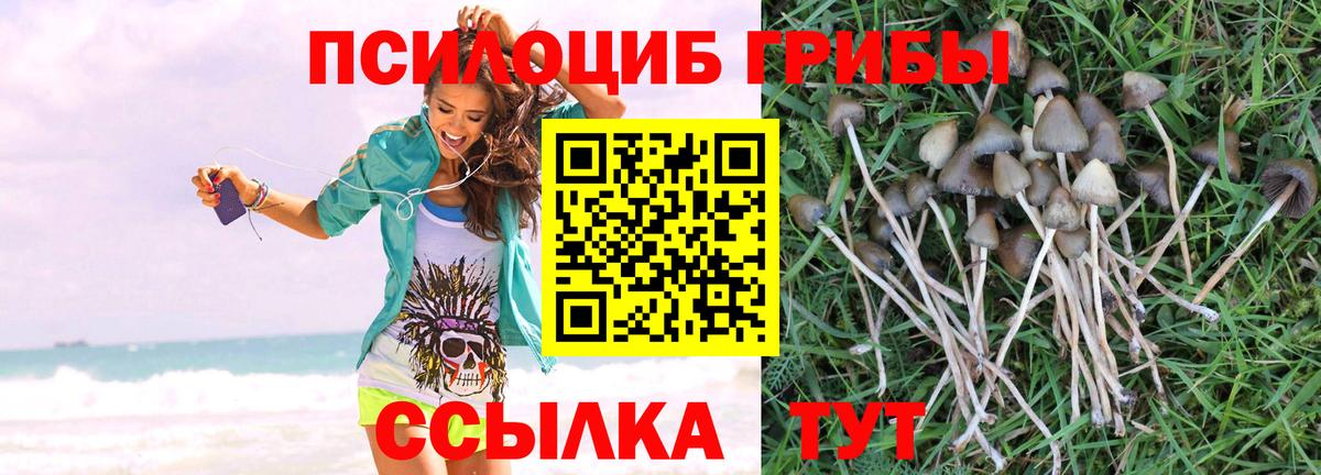 Южно-Сахалинск  Галлюциногенные грибы Cubensis  Вход с VPN  Галлюциногенные грибы прущие грибы 
