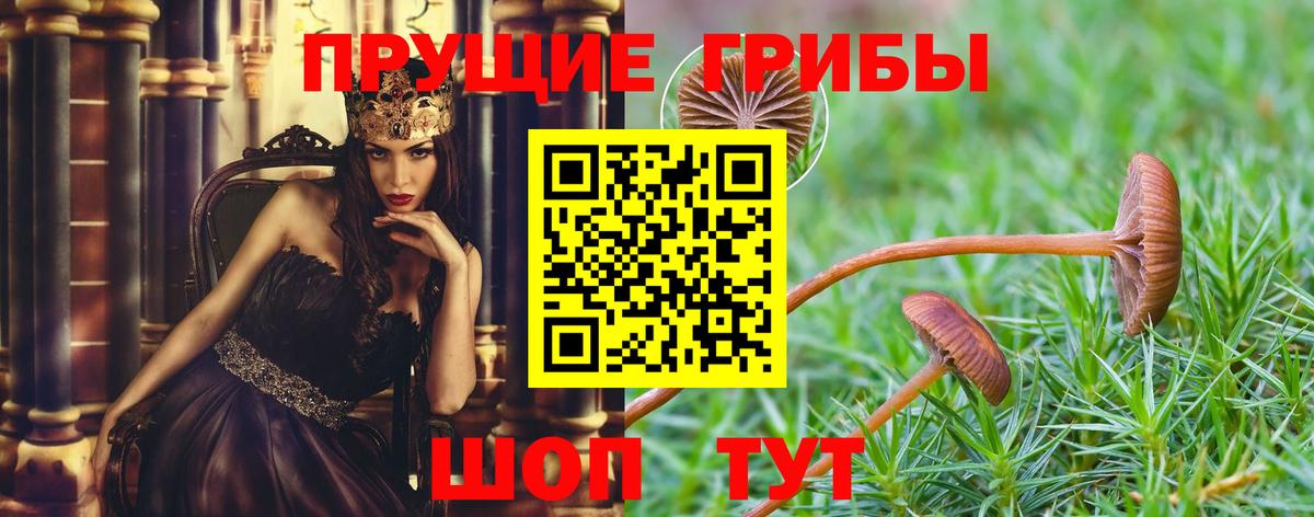 Галлюциногенные грибы мухоморы Южно-Сахалинск